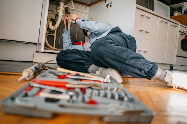 Best Emergency Plumber  in Citrus Park, FL