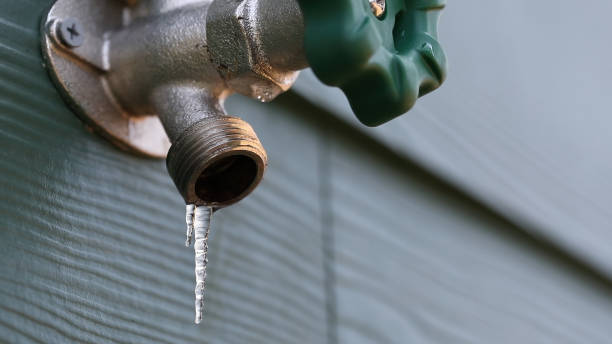  Citrus Park, FL Plumbing Pros